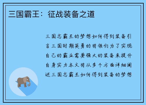 三国霸王：征战装备之道